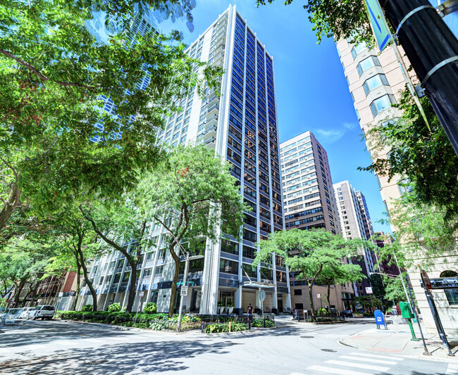 Building Photo - 222 E Pearson St Unit 1707 Rental