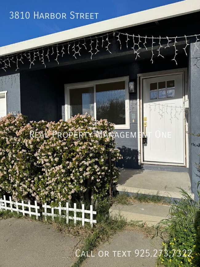 Photo - 3810 Harbor St