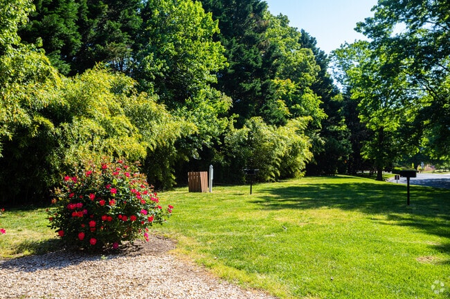 Grill Area - Amber Ridge Apartments ~ Boutique Cottage Style Living Meets Hassle Free Leasing