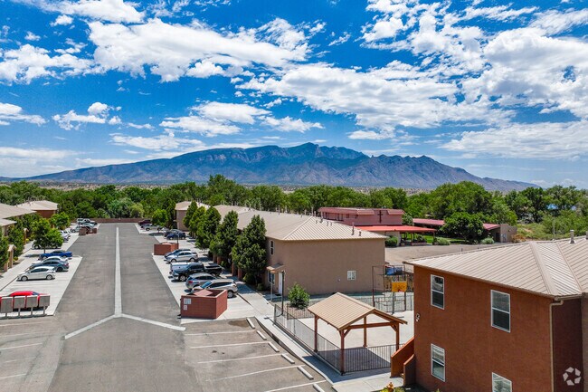 Mountain Views