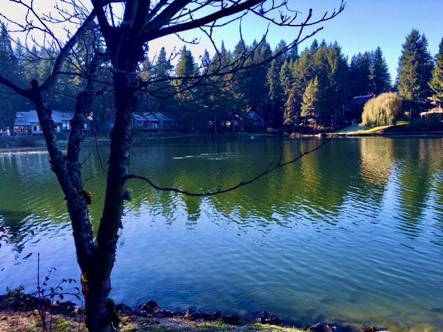 Photo - 6347 137th Ave NE Unit 283