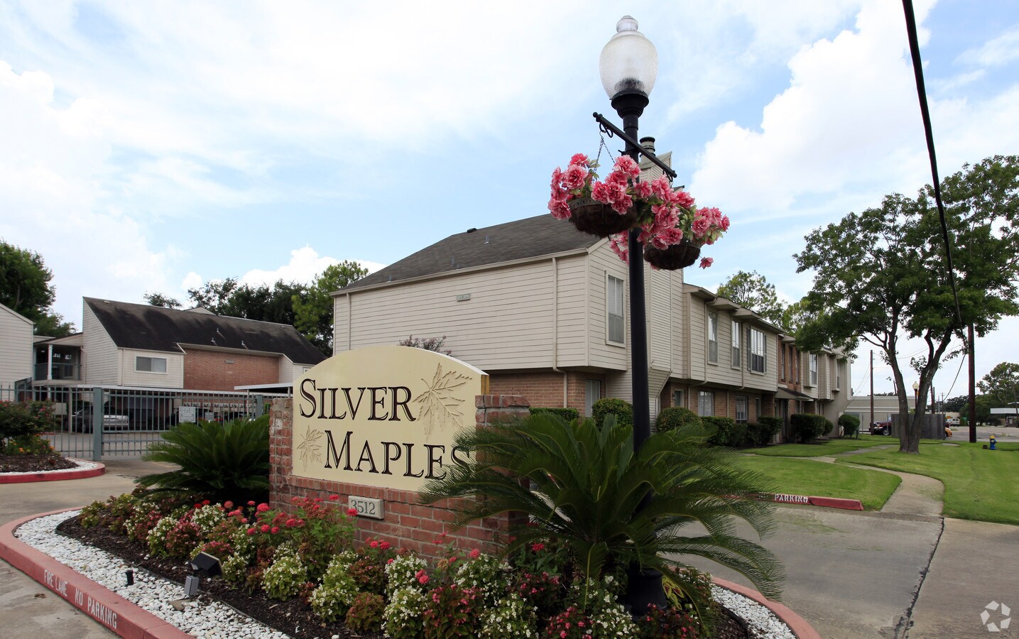 Sylver Maples - Silver Maples