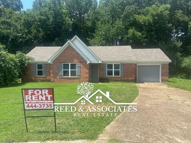 Building Photo - Olive Branch Home Located in Quiet Cove!