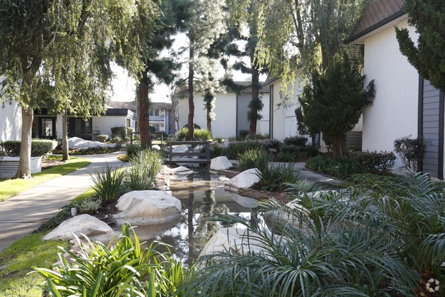 Pond