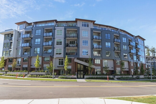 Building Photo - Available Now! Brand New Corner Unit 310