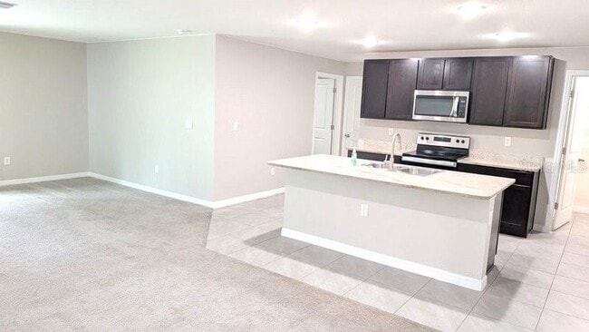 13667 Whiskey Daisy Dr
