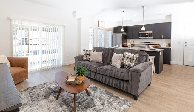Living Room/Kitchen