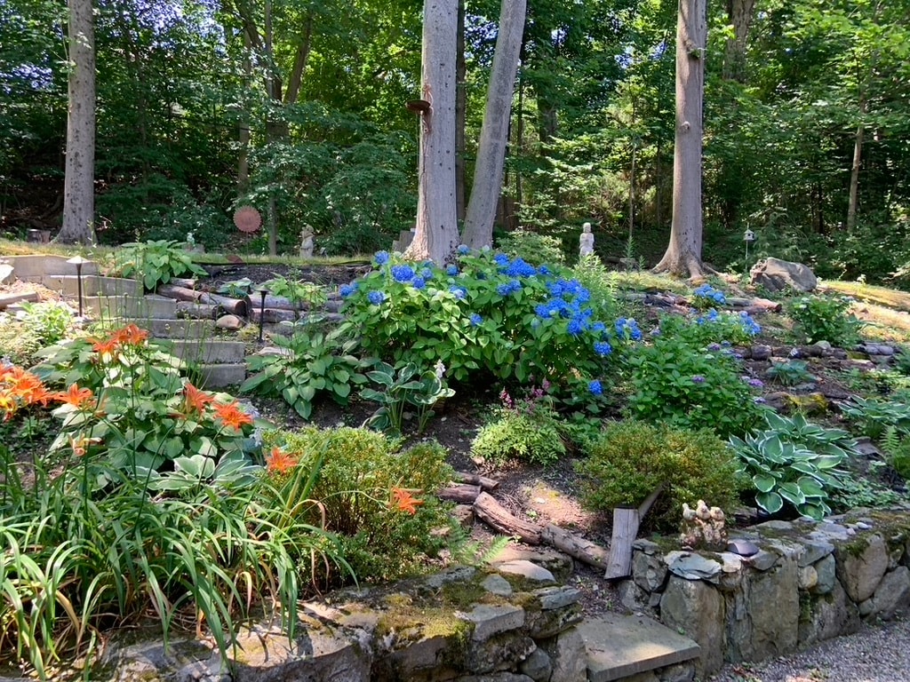 back yard - 186 Winchester St