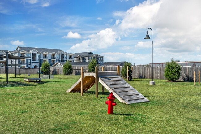 Spacious Bark Park
