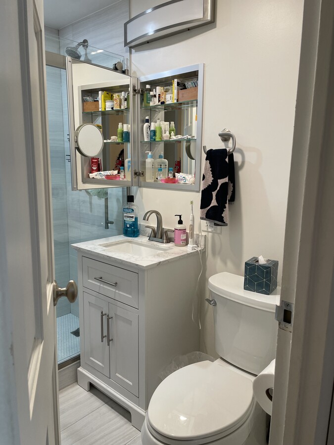 Baño nuevo - 400 E Randolph St Unidad 2312