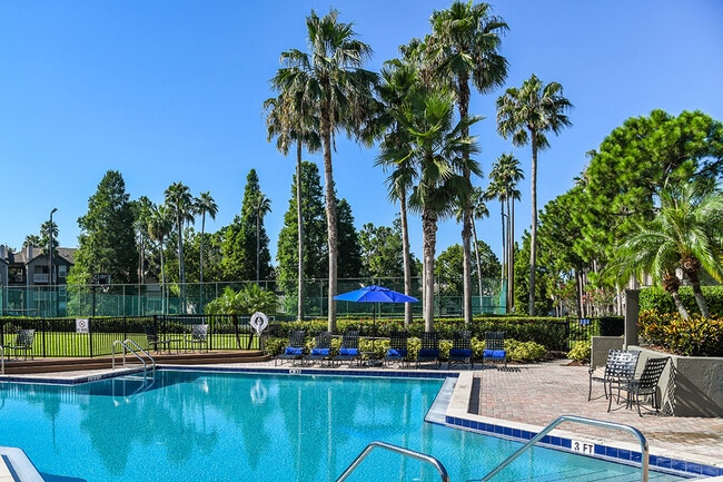 Piscina y solárium estilo resort