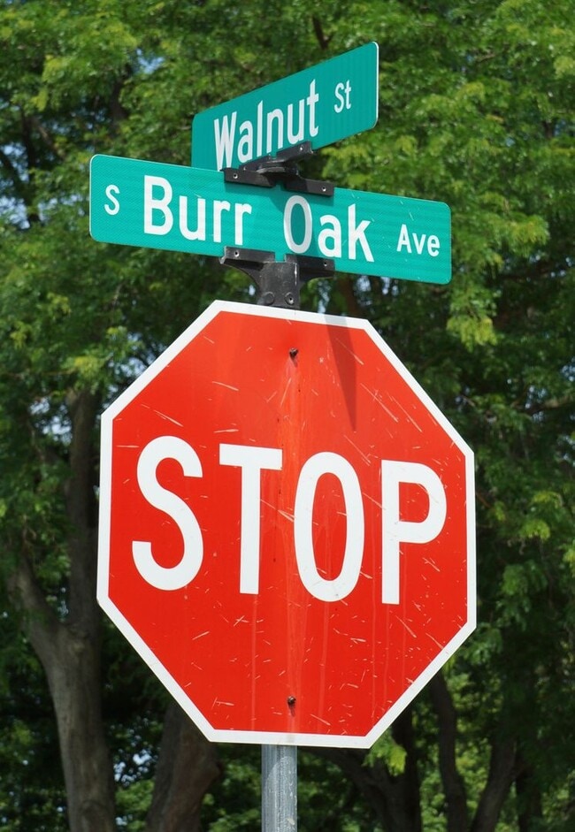 Photo - Walnut Street Apartments