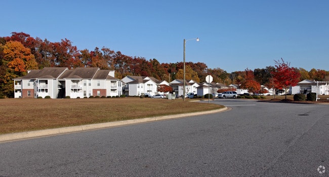 The Trellis Apartments