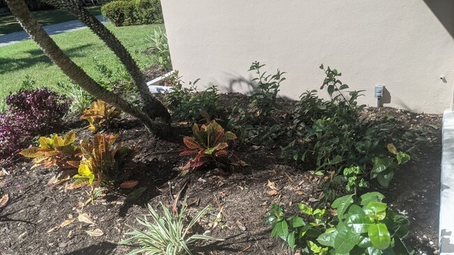 Photo - 2042 Harley Ave