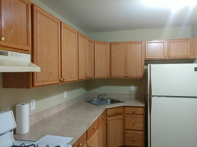 407 College Dr - 407 College Dr Unit 407