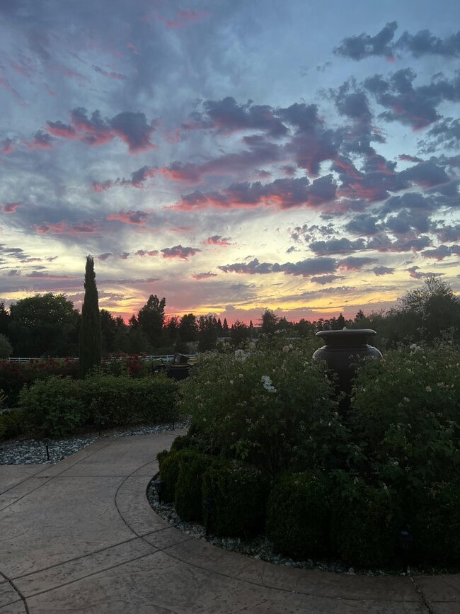 Photo - 9839 Trailhead Ct