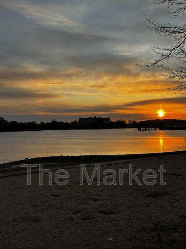 Building Photo - 75 Avalon Ave