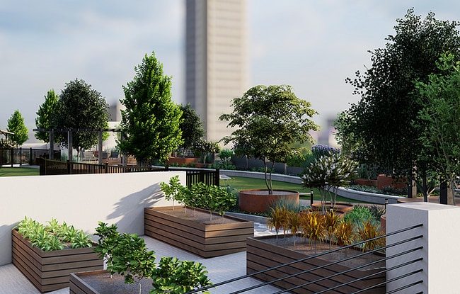 Rooftop Amenity Rendering 6