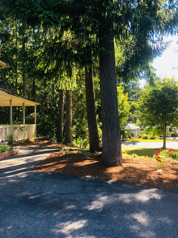 Building Photo - 1310 NW Covey Ct Rental