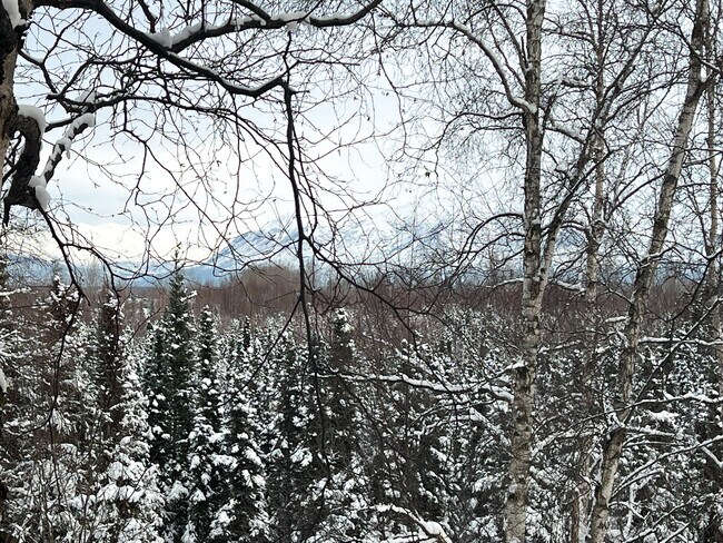 Photo - 1581 Nelchina St