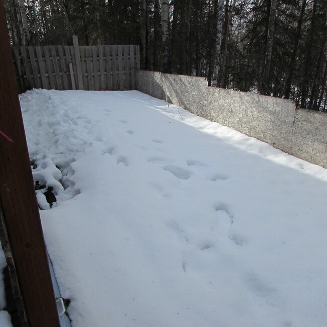 Back fenced in area - 3565 N Tamar Rd Unit A