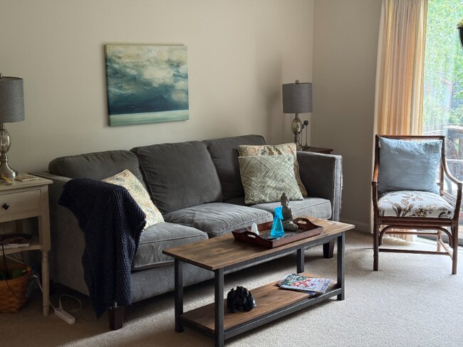 Photo - 104 Clinkscales Rd Unit 509