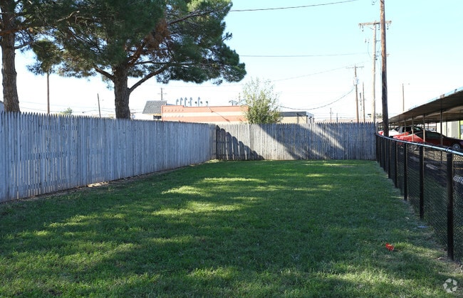 Dog Park