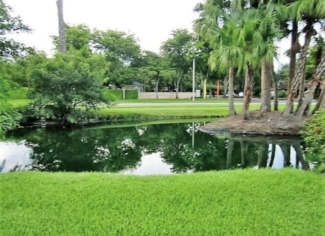Photo - 3400 Pinewalk Dr N Unit 916