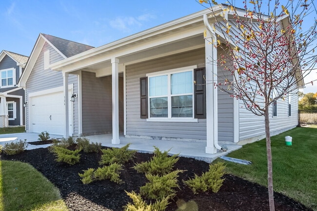 386 Thunderwood Dr