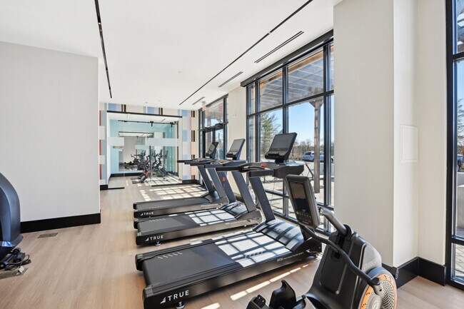 El centro de fitness Alice - The Alice