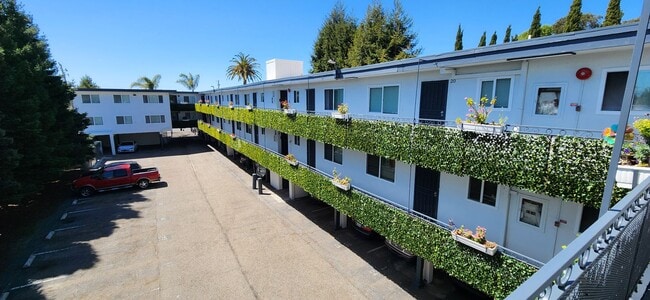 Zelma