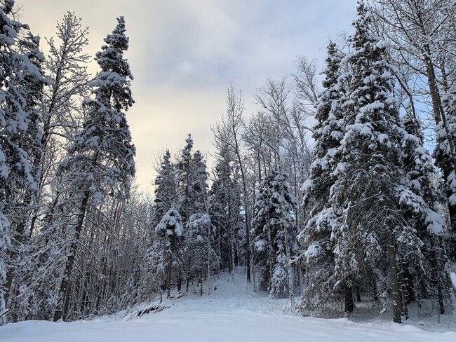 Photo - 1 Bedroom/1 Bathroom -- Fantastic Palmer Location!