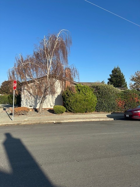 Photo - 1992 Bandoni Ave