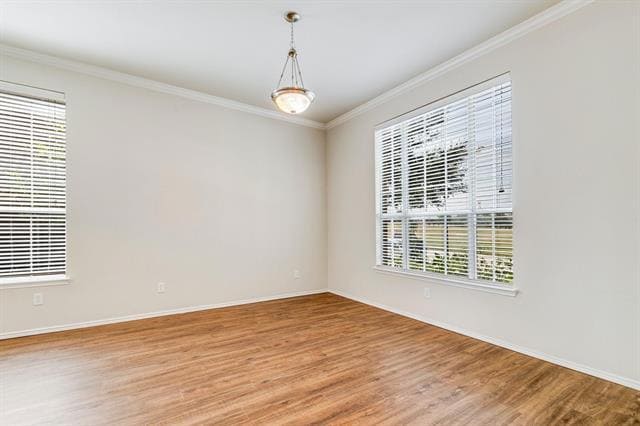 Photo - 11570 Beeville Dr
