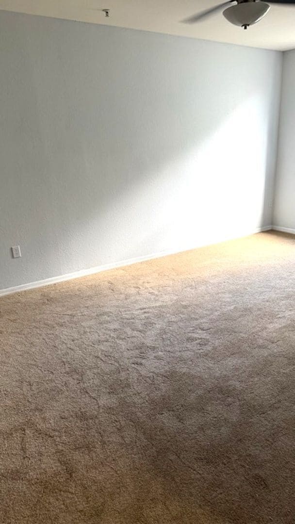 Photo - First Floor 2 Bedroom at The Registry @ Michigan Park Unit 3103