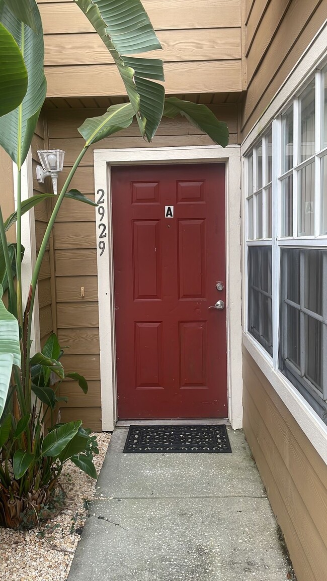 Photo - 2929 Fan Palm Dr