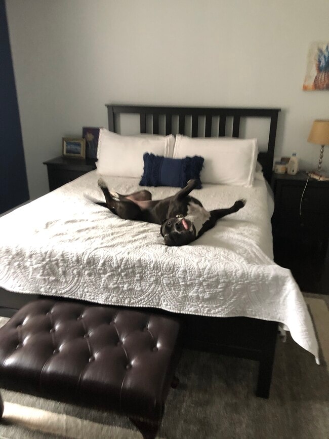 Photo - 3902 14th St NW Unidad 117