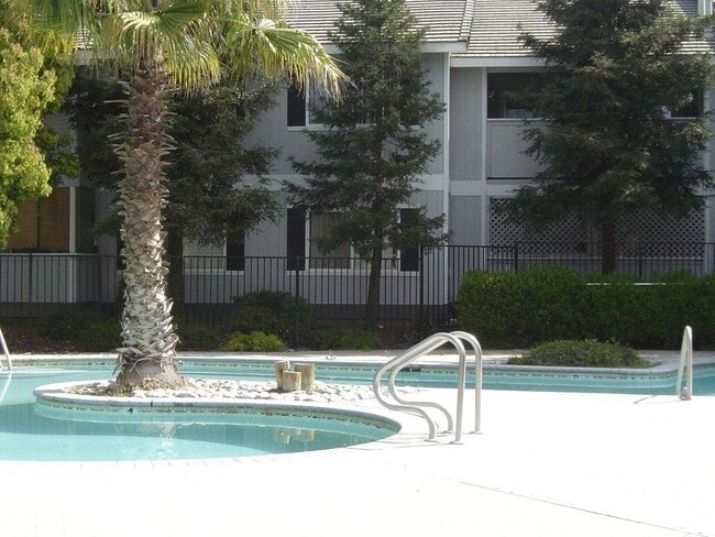 2 Bed/2 Bath - 2 Bed/2 Bath Apartment