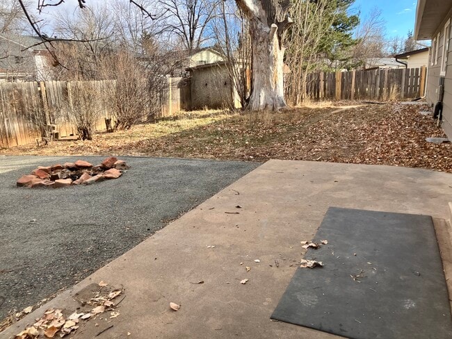 Yard - 1312 Skyline Dr