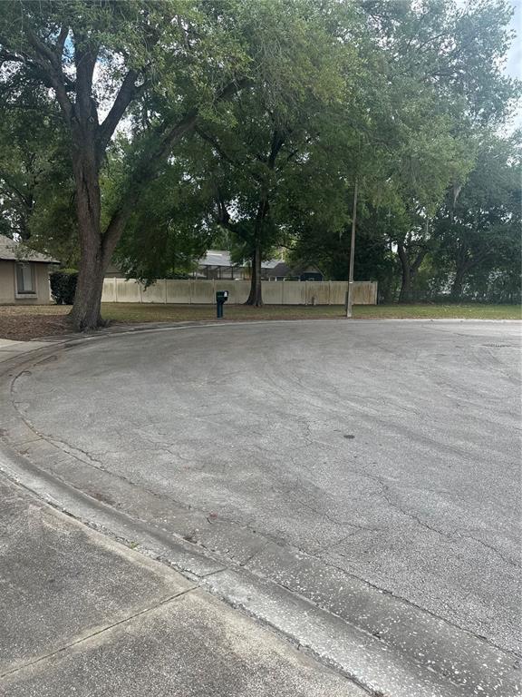 Photo - 2329 Pine Tree Ct