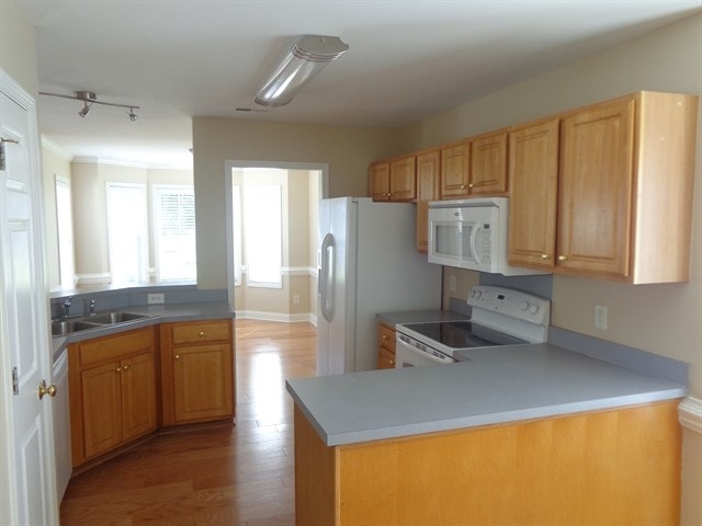 Photo - 1009 Trillium Pl