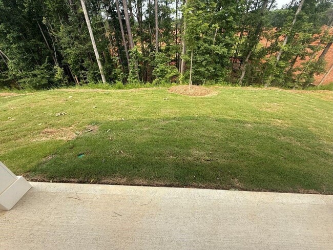 Photo - 2304 Grape Vine Wy