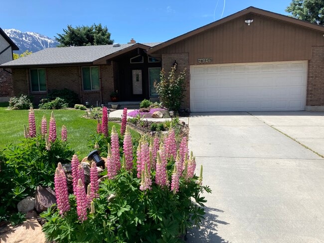Building Photo - 2946 Scandia Way Rental