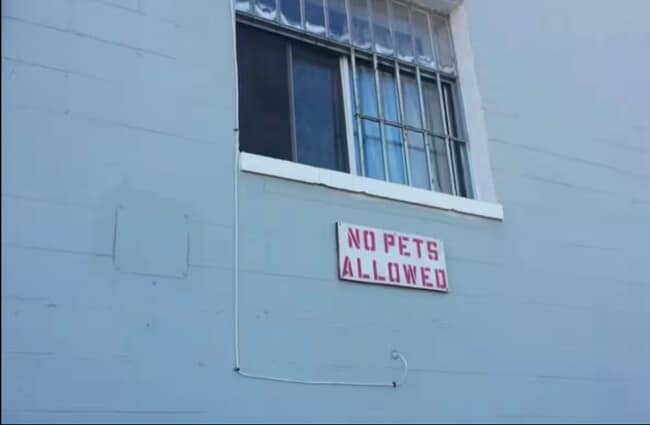 Photo - 678 Nebraska St Unidad Studio 8