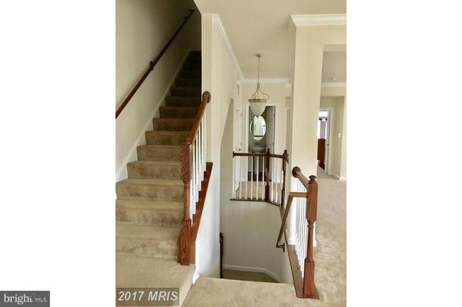 Photo - 21616 Romans Dr