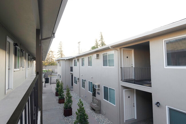 The Canopy - Courtyard