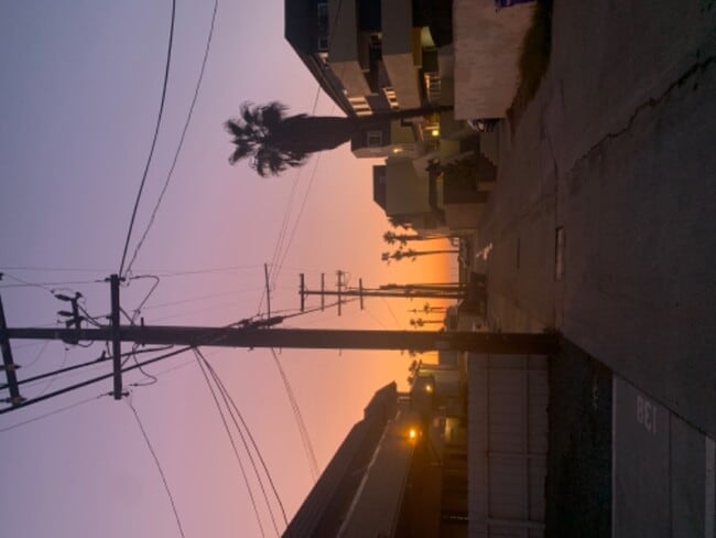 136 Elder Ave