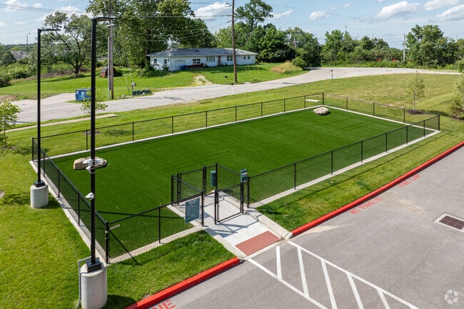 Dog Park