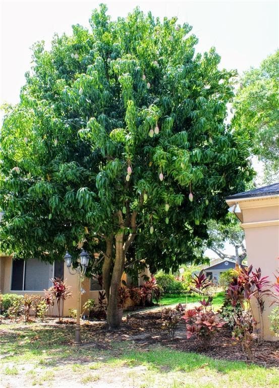 Photo - 5611 S Sherwood Ave