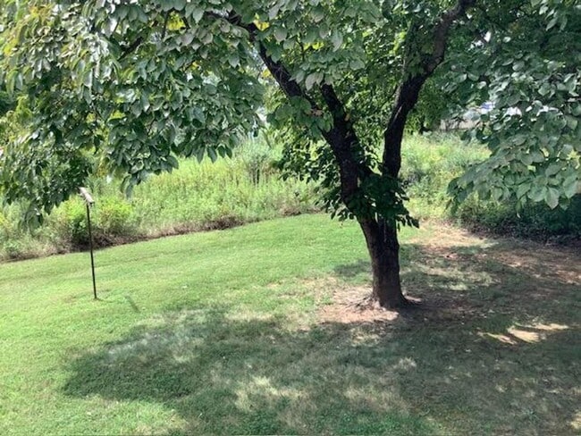 Photo - 69-B Russell Woods